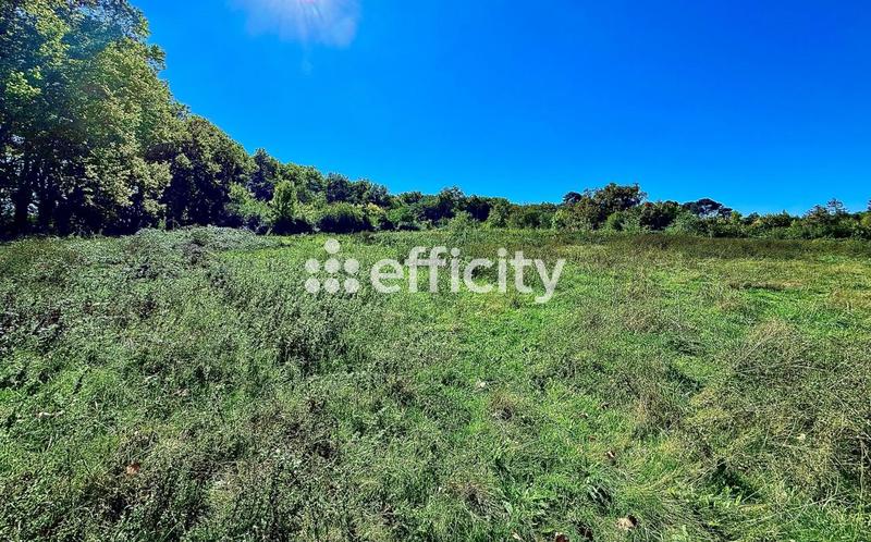Terrain - 845 m²