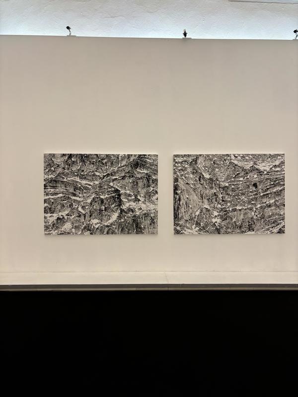 Présentation "Edition d'artistes"