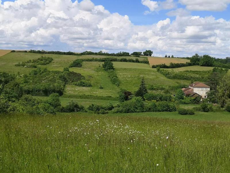 Maison - 410 m² - 8 pièces