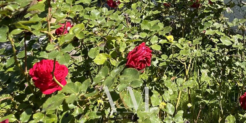 Maison - 85 m² - 3 pièces