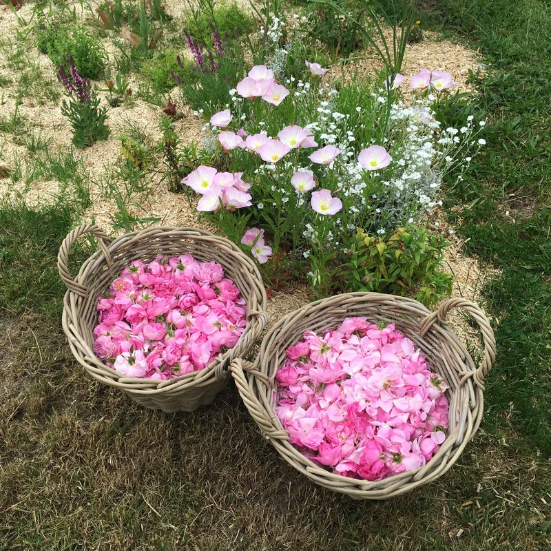 Ateliers Diy : apprendre à faire des cosmétiques maison
