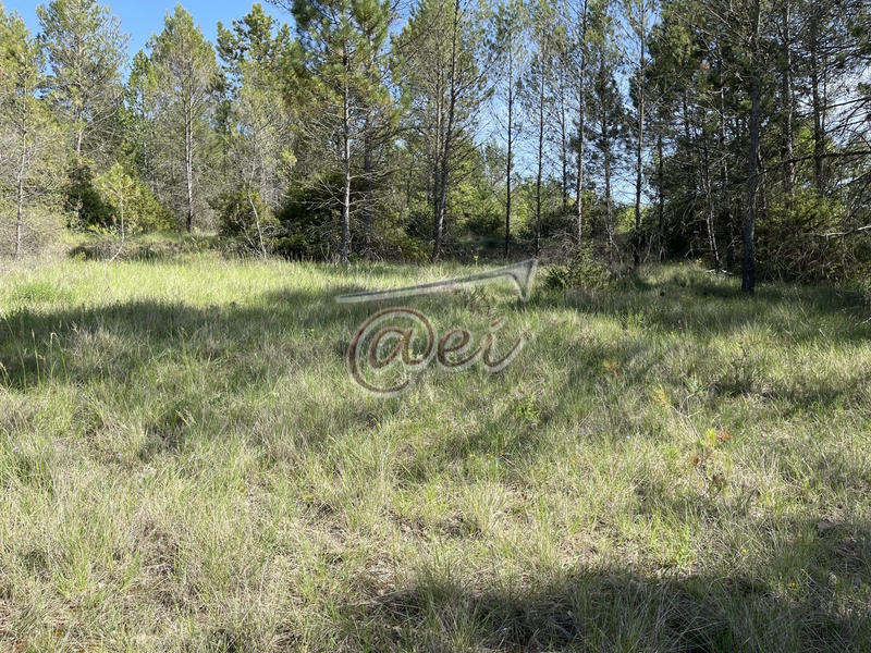 Terrain agricole - 5 893 m²