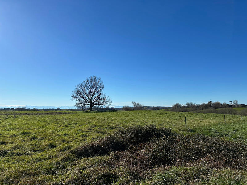 Terrain constructible - 4 403 m²