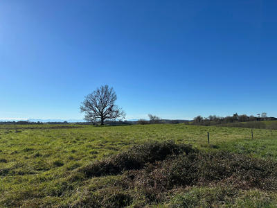 Terrain constructible - 4 403 m²