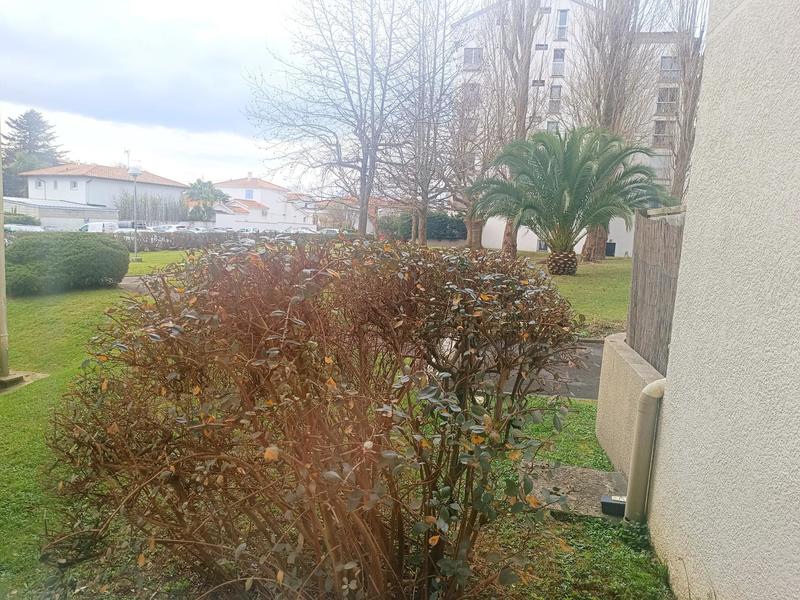 Appartement - 38 m² - 1 pièce