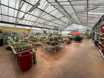 Local commercial - 1 000 m² - 5 pièces