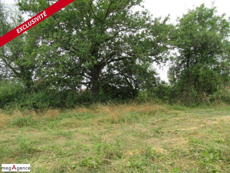 Terrain constructible - 1 730 m²