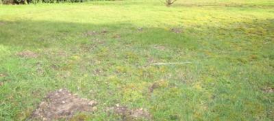 Terrain constructible - 256 m²