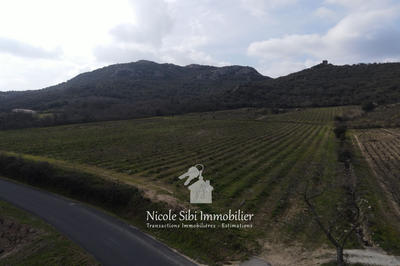 Terrain agricole - 17 985 m²