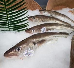 Chemin des Pêcheurs