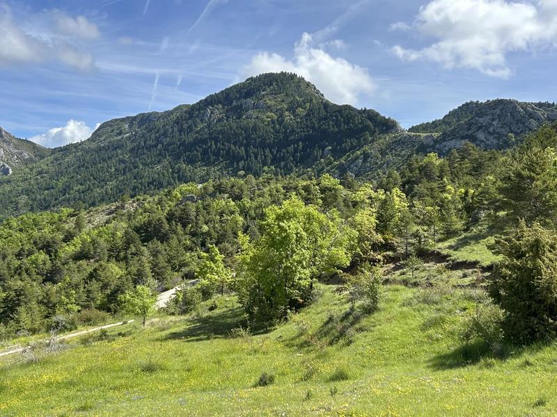 Maison - 195 m² - 8 pièces