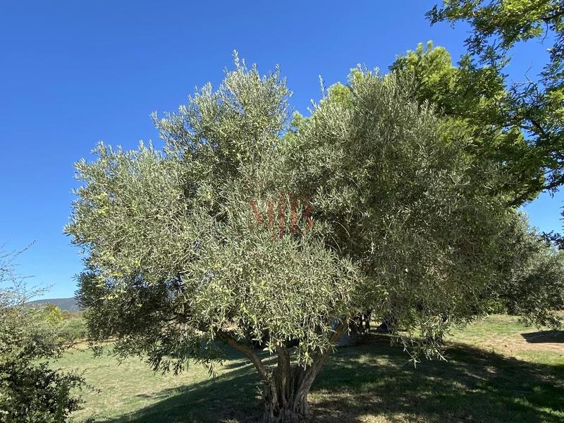 Propriété - 370 m² - 26 pièces