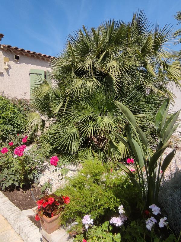 Concours des maisons fleuries