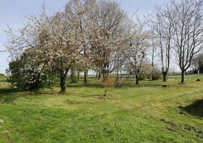Terrain constructible - 1 579 m²