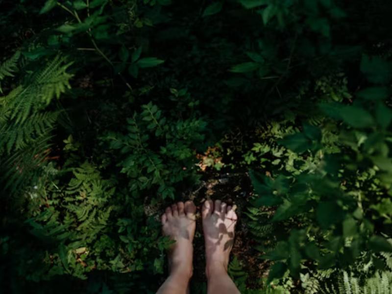 Balade sensorielle à Terres d'Oiseaux
