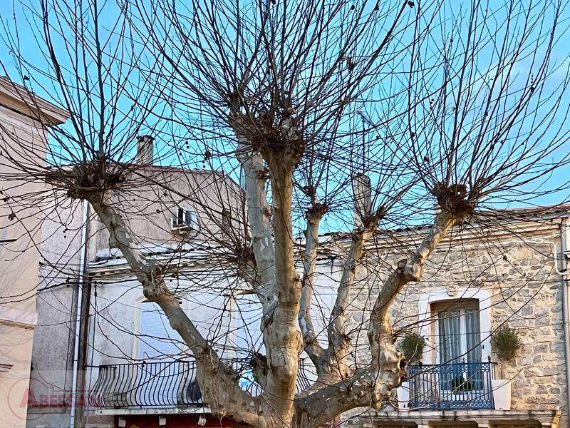 Appartement - 85 m² - 3 pièces