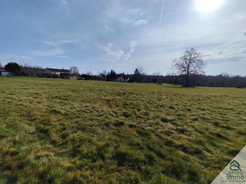 Terrain - 34 334 m²