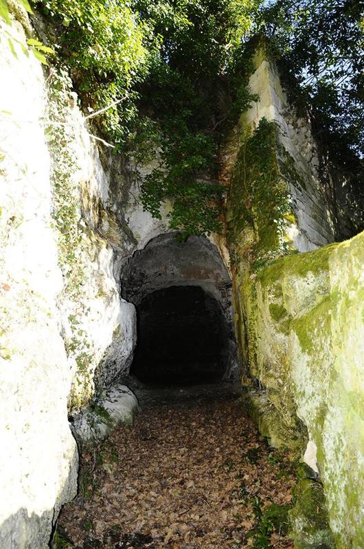 La Ronde des Vignobles en Fronsadais