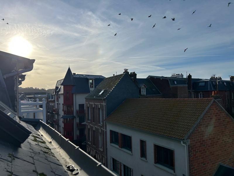 Appartement - 24 m² - 1 pièce