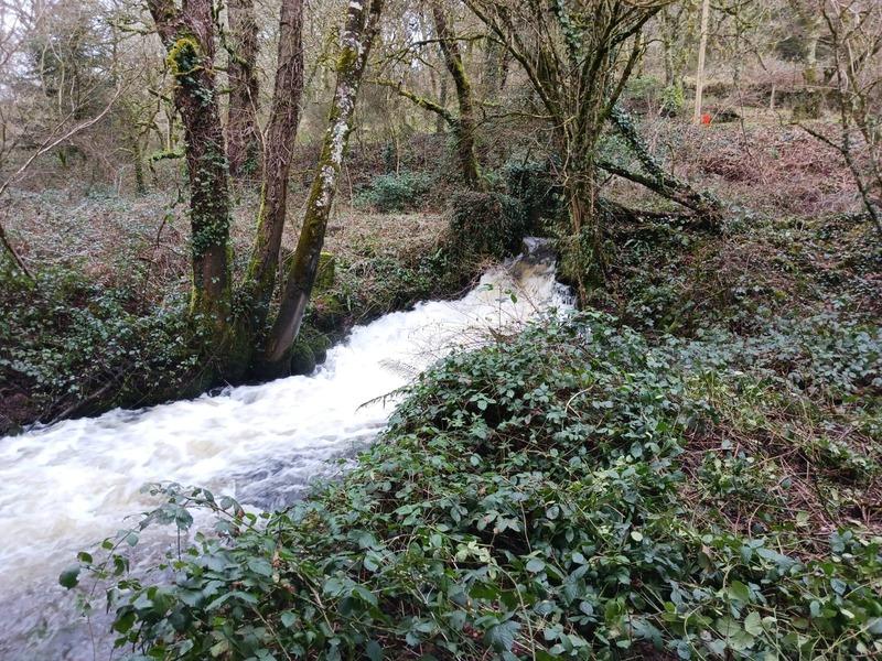 Propriété - 183 m² - 7 pièces