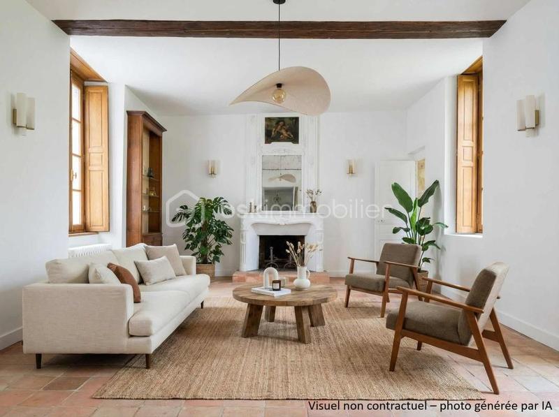 Hôtel particulier - 216 m² - 9 pièces