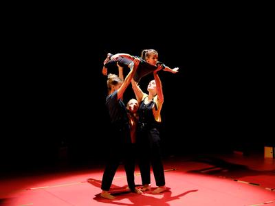 Le labyrinthe de l'oie