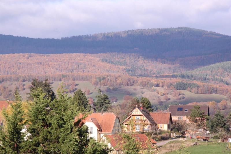 La route gourmande des guimbardes