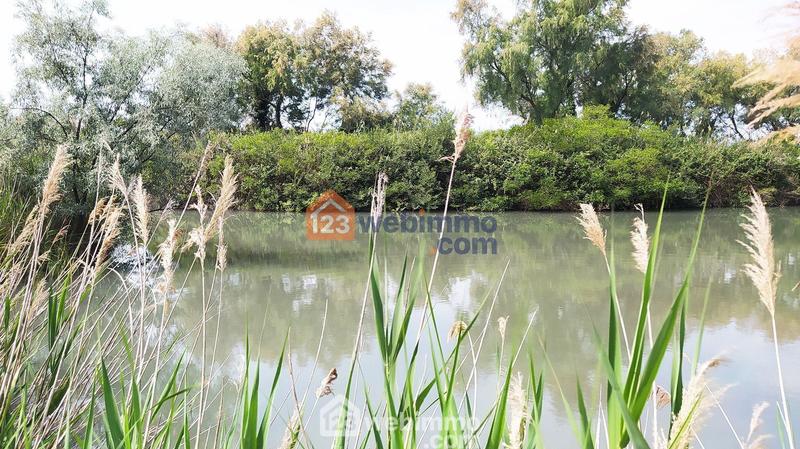 Maison - 320 m² - 10 pièces