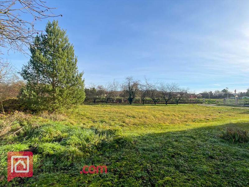 Maison - 199 m² - 6 pièces