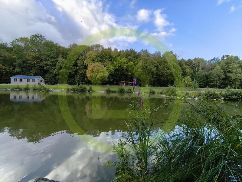 Terrain - 24 375 m²