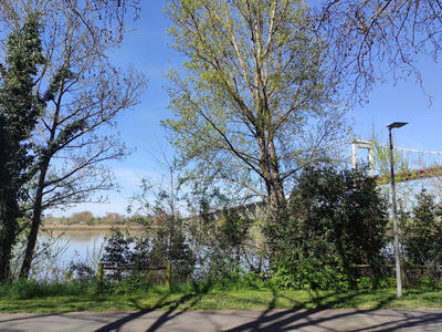 Maison - 372 m² - 8 pièces