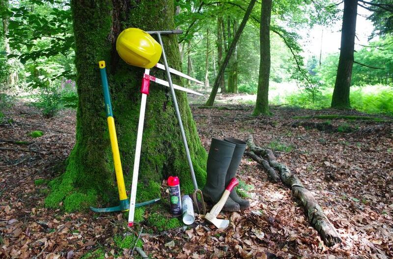 Dans la peau d'un forestier