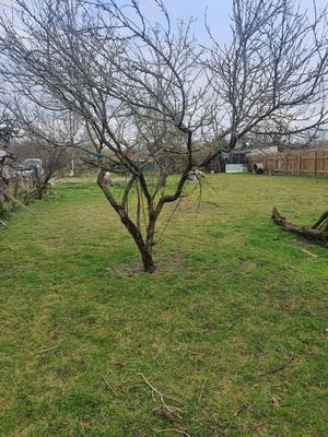 Terrain constructible - 740 m²