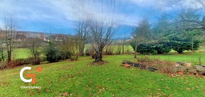 Maison - 141 m² - 4 pièces