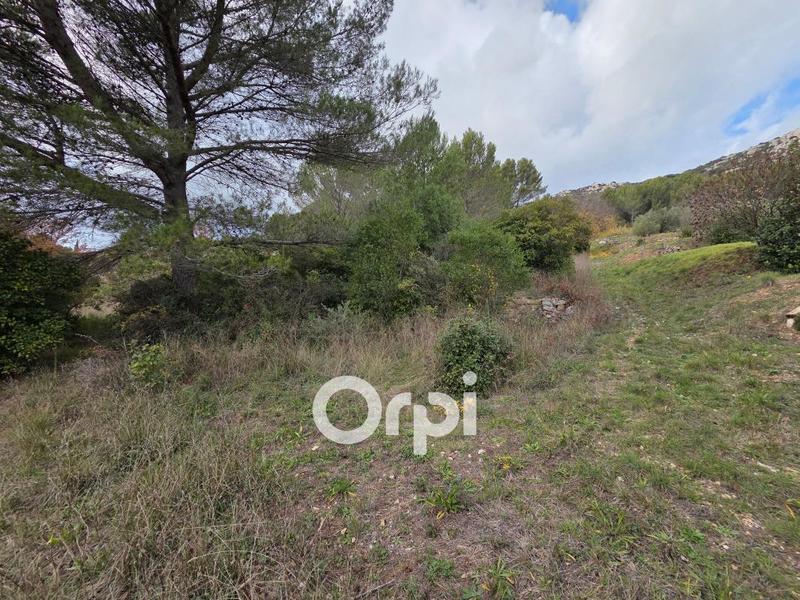 Terrain agricole - 3 500 m²