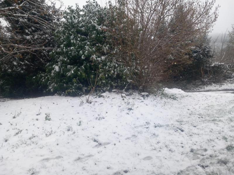 Maison - 145 m² - 4 pièces