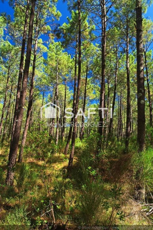 Terrain - 34 974 m²