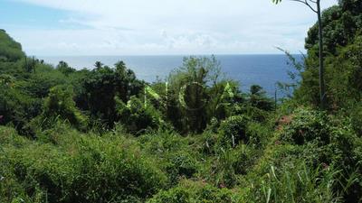 Terrain constructible - 6 099 m²