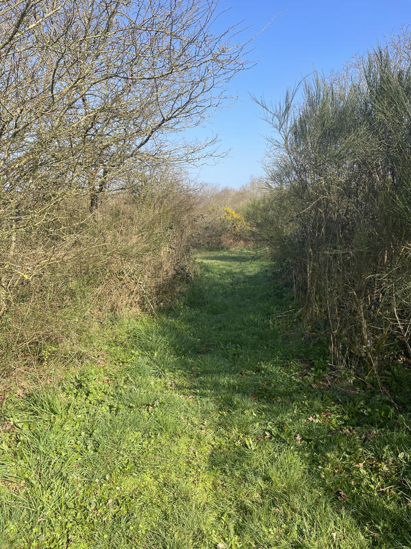 Terrain - 34 900 m²