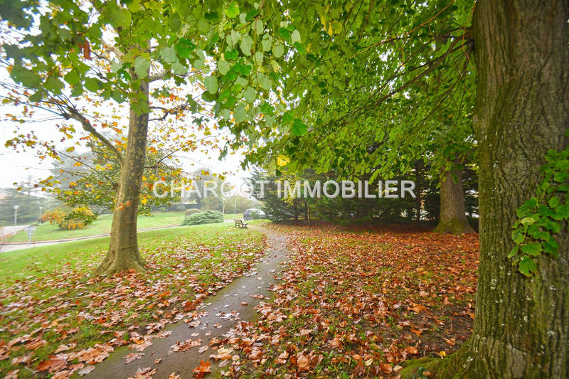 Appartement - 48 m² - 1 pièce