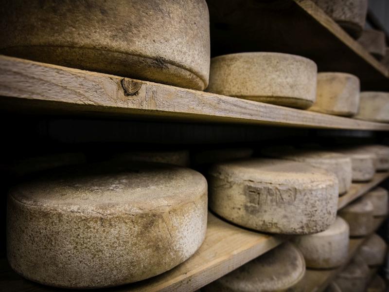 Sortie nature Cpie Pays Basque : "La Manex, reine des estives"