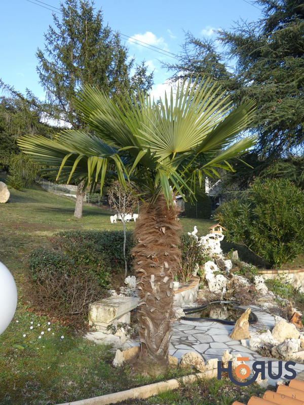 Viager - Maison - 89 m² - 3 pièces