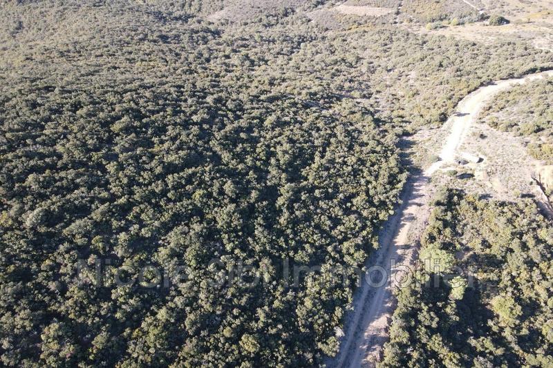 Terrain agricole - 50 857 m²