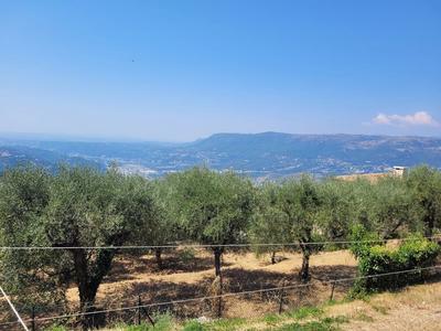 Terrain agricole - 1 100 m²