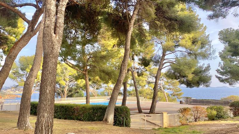 Appartement - 28 m² - 1 pièce