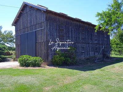 Maison - 260 m² - 7 pièces