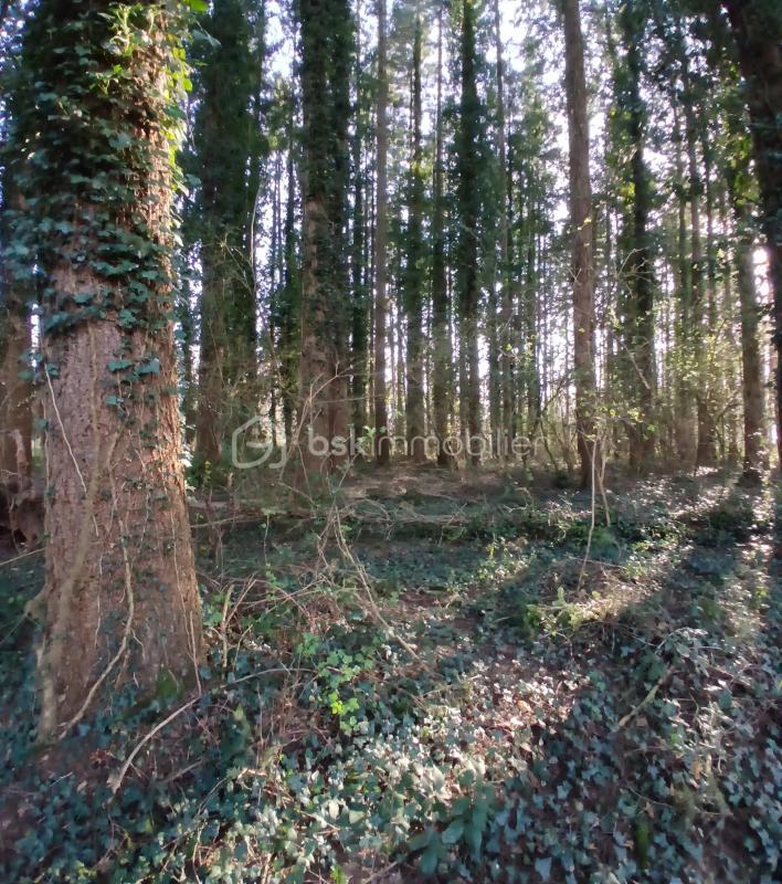 Terrain de loisirs - 10 489 m²