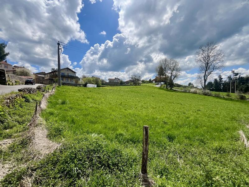 Terrain - 2 706 m²
