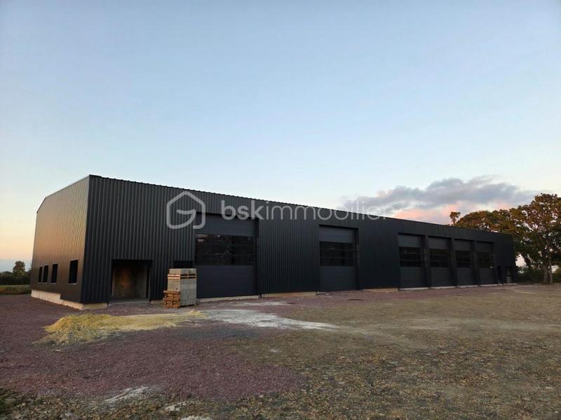 Entrepôt - 500 m² - 5 pièces