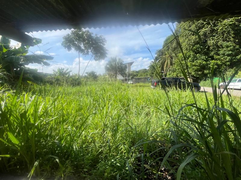 Appartement - 275 m² - 9 pièces